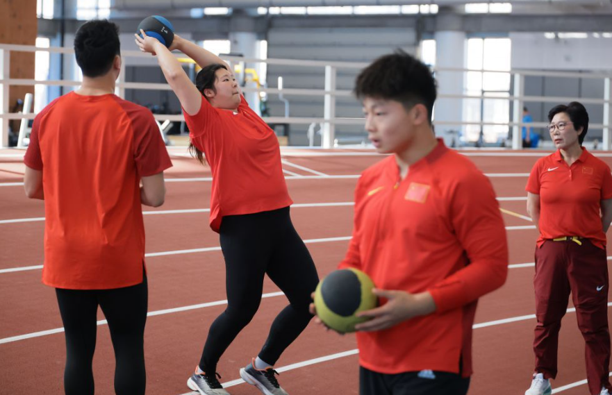 学习使用百家乐软件的基本指南